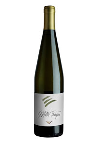 vendita Müller Thurgau