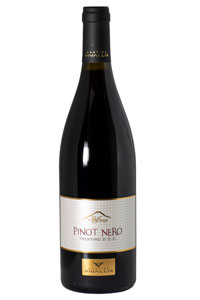 vendita Pinot Nero